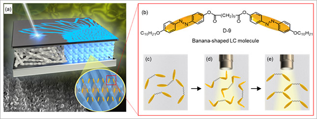 Direct Visualization Of Optical Activity In Chiral Substances Using A ...