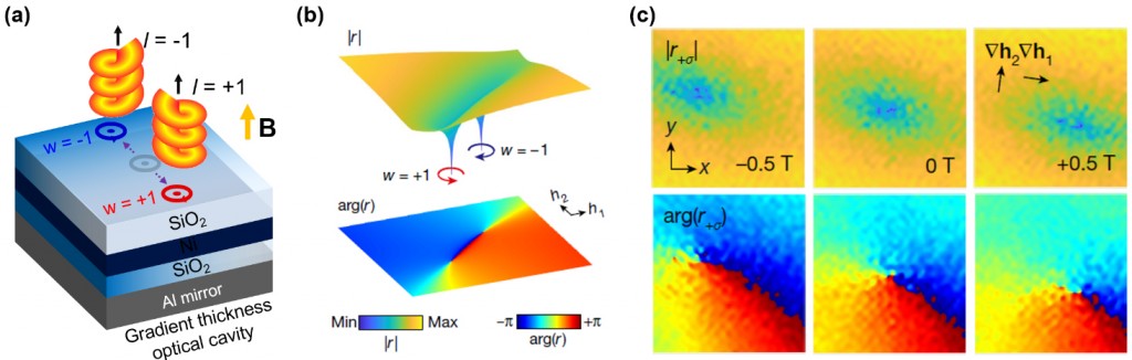 Figure 1(a) Schematic of the spontaneous generation of quasi-particle-like optical vortex and antivortex textures in the gradient-thickness optical cavity. (b) Theoretical schematic of the vortex (w=+1) and antivortex (w=-1) texture in the reflected light. (c) Experimental demonstration of optical vortex exhibiting quasi-particle-like nature and dynamics interacting with external magnetic fields